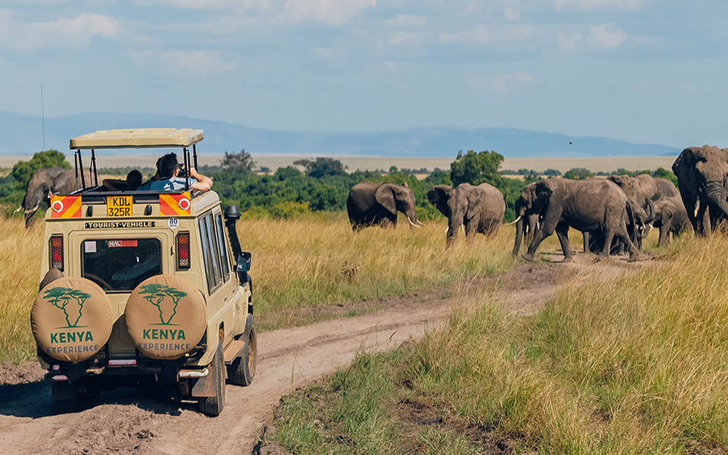 Best 5 Cars to Rent for Self Drive Safaris in Kenya